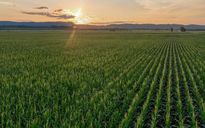 Article | Cultivating a lower-carbon food supply chain: Unlocking Scope 3 progress through fertilizer emissions reduction