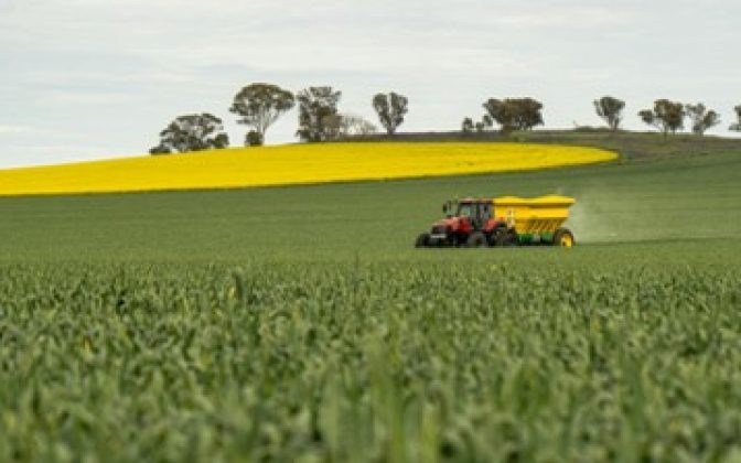 Webinar | MBIs for credible low-emission fertilizer procurement